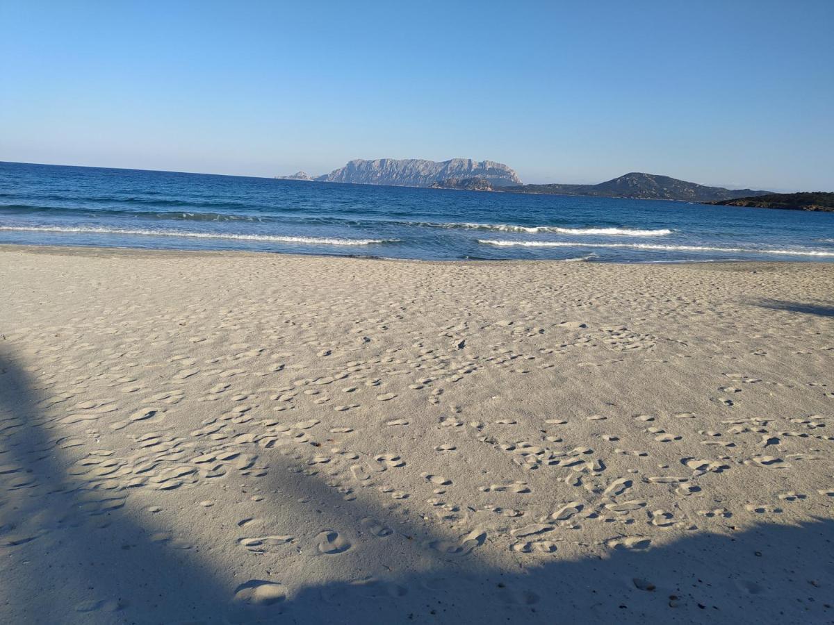 مبيت وإفطار أولبيا Antica Isola المظهر الخارجي الصورة