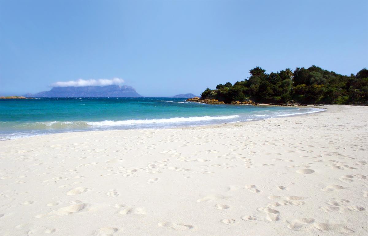 مبيت وإفطار أولبيا Antica Isola المظهر الخارجي الصورة