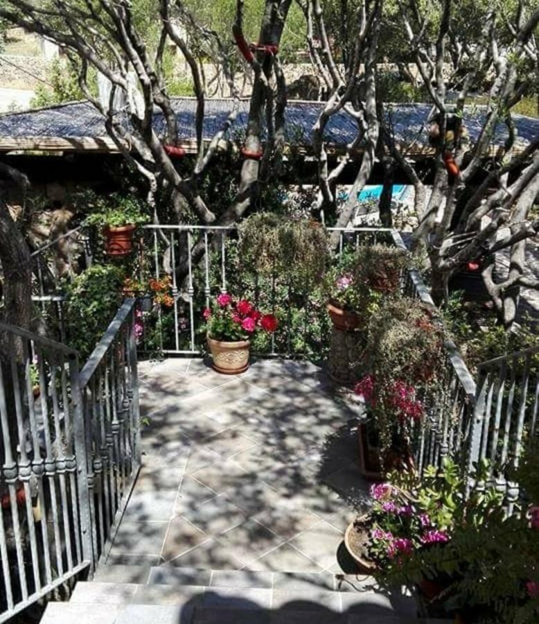 مبيت وإفطار أولبيا Antica Isola المظهر الخارجي الصورة